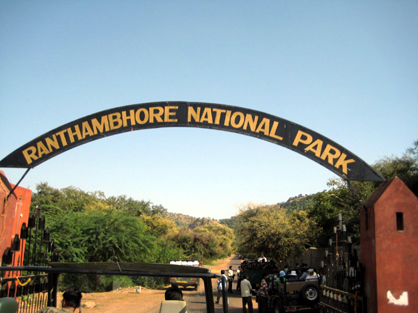 Ranthambore